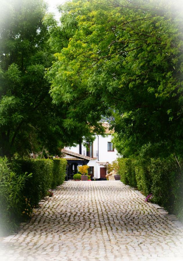 Cortijo Salinas Montecorto Exterior foto